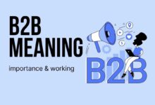 b2b meaning